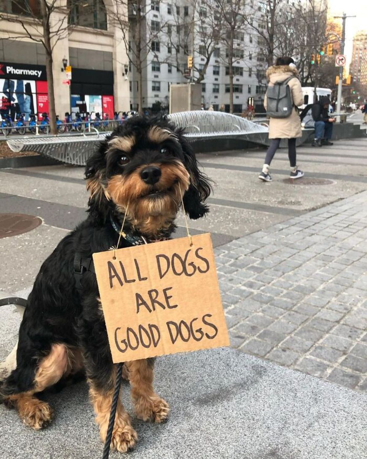 black and brown yorkshire terrier holding a sign saying all dogs are good dogs