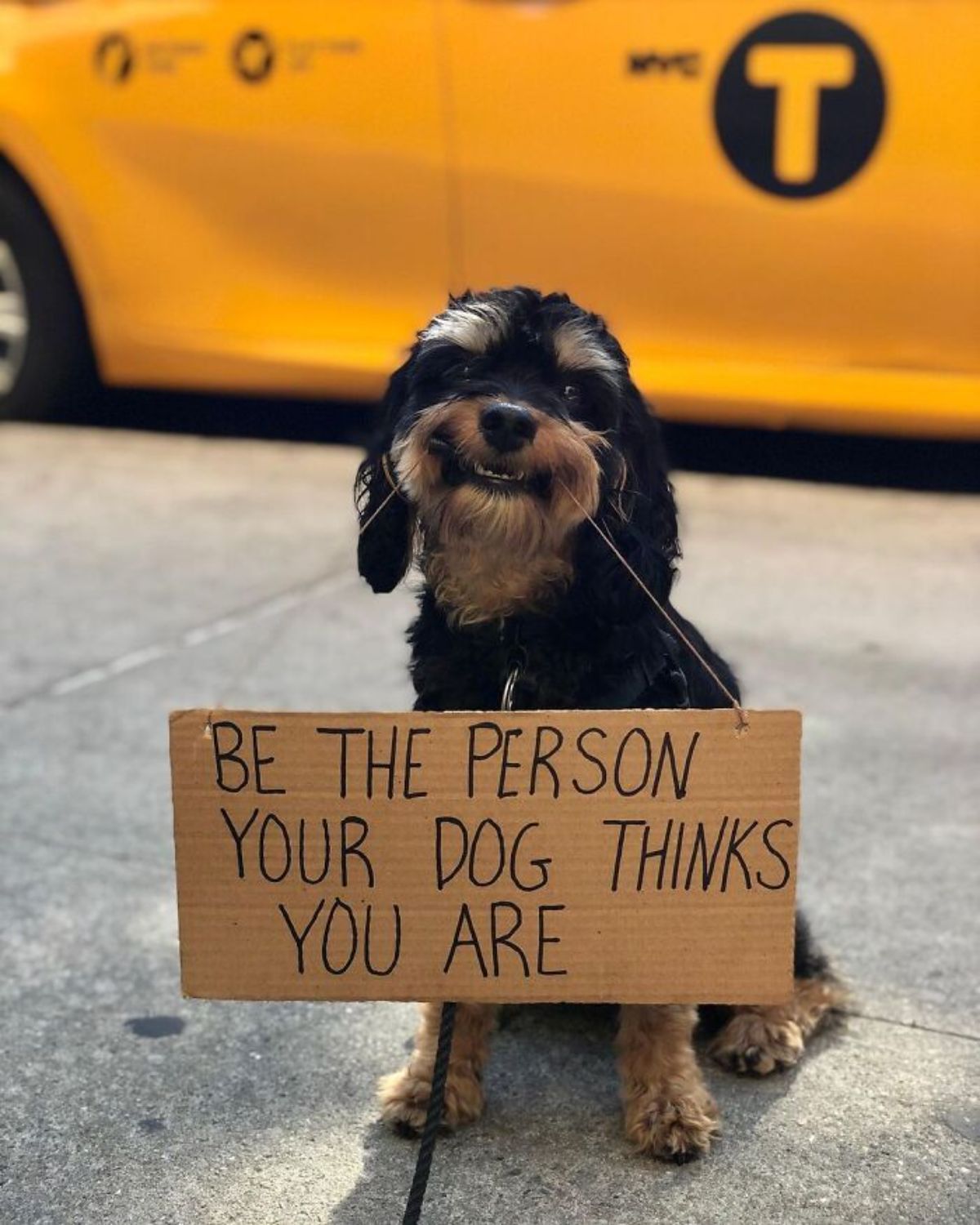 black and brown yorkshire terrier holding a sign saying be the person your dog thinks you are
