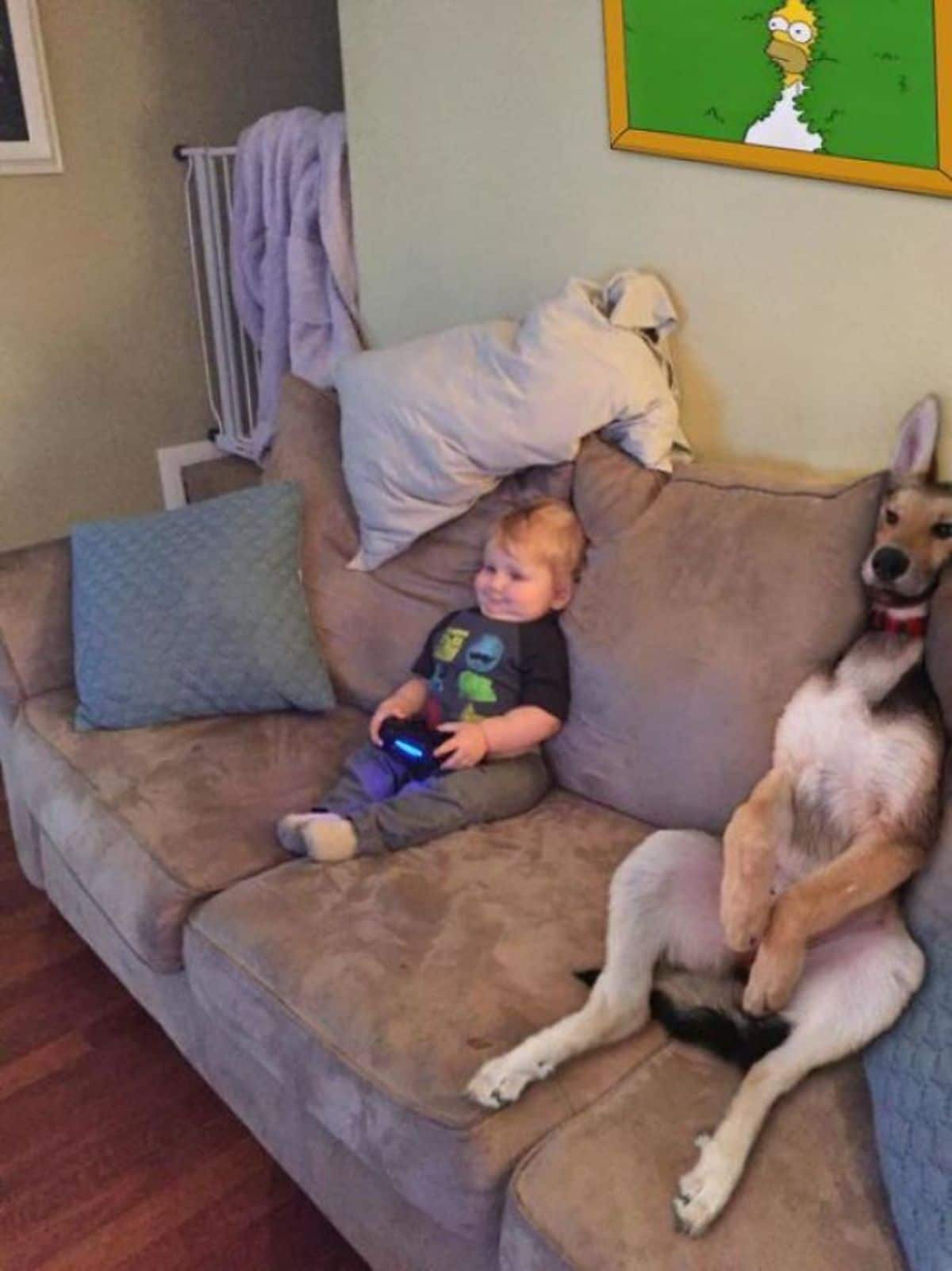 black brown and white dog sitting upright with the body between 2 cushions and a toddler next to the dog mimicking the dog