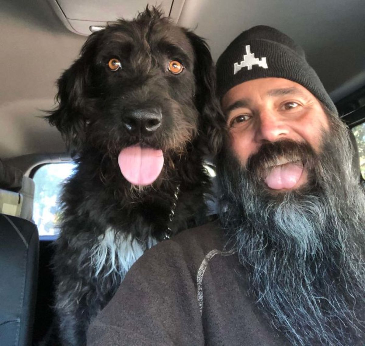 black fluffy dog with white chest patch inside a car with the tongue sticking out next to a bearded man with his tongue sticking out