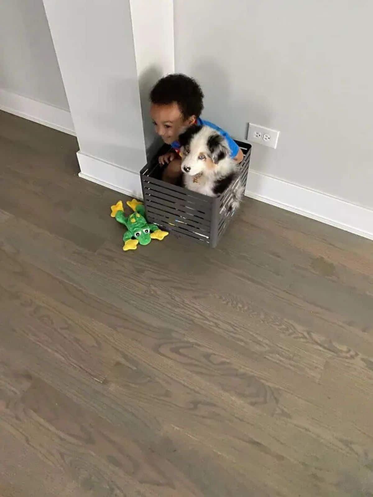 black white and brown australian shepherd puppy next to a little boy crouching inside a small brown metal box behind a pillar by a wall