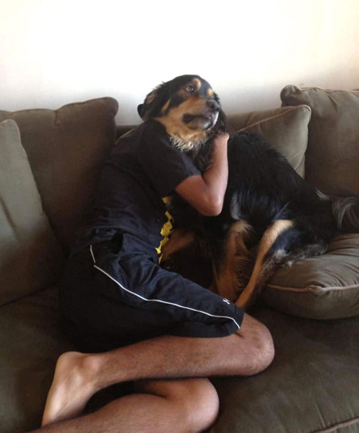 brown and black dog and man on a grey sofa hugging with the man looking like he ha a dog head