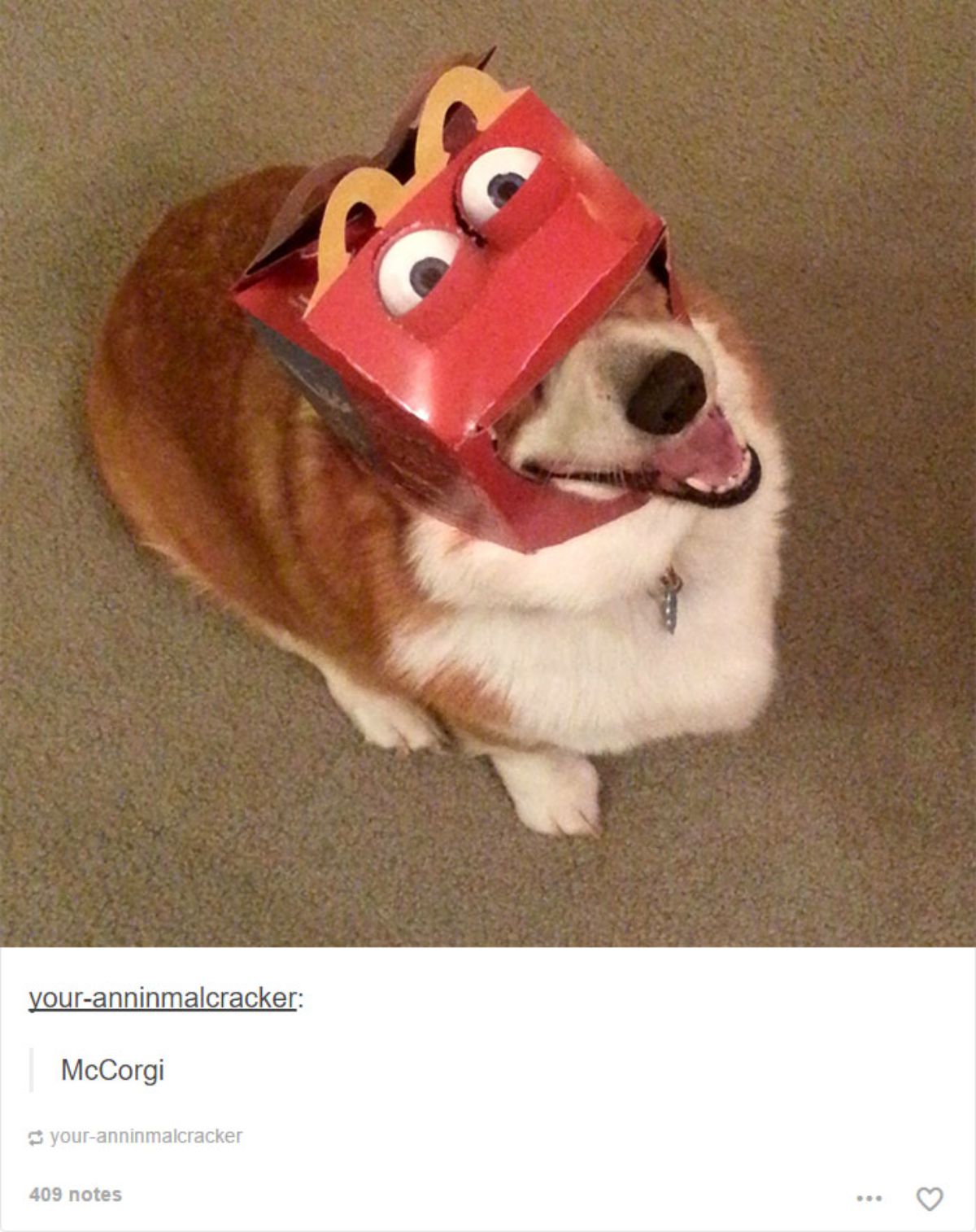 brown and white corgi sitting on the floor with a red white and yellow McDonald's pack on its head that has eyeballs