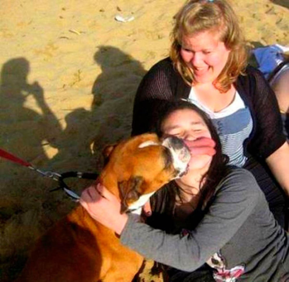 brown and white dog licking a girl's face with the tongue across the girl's mouth with another woman watching
