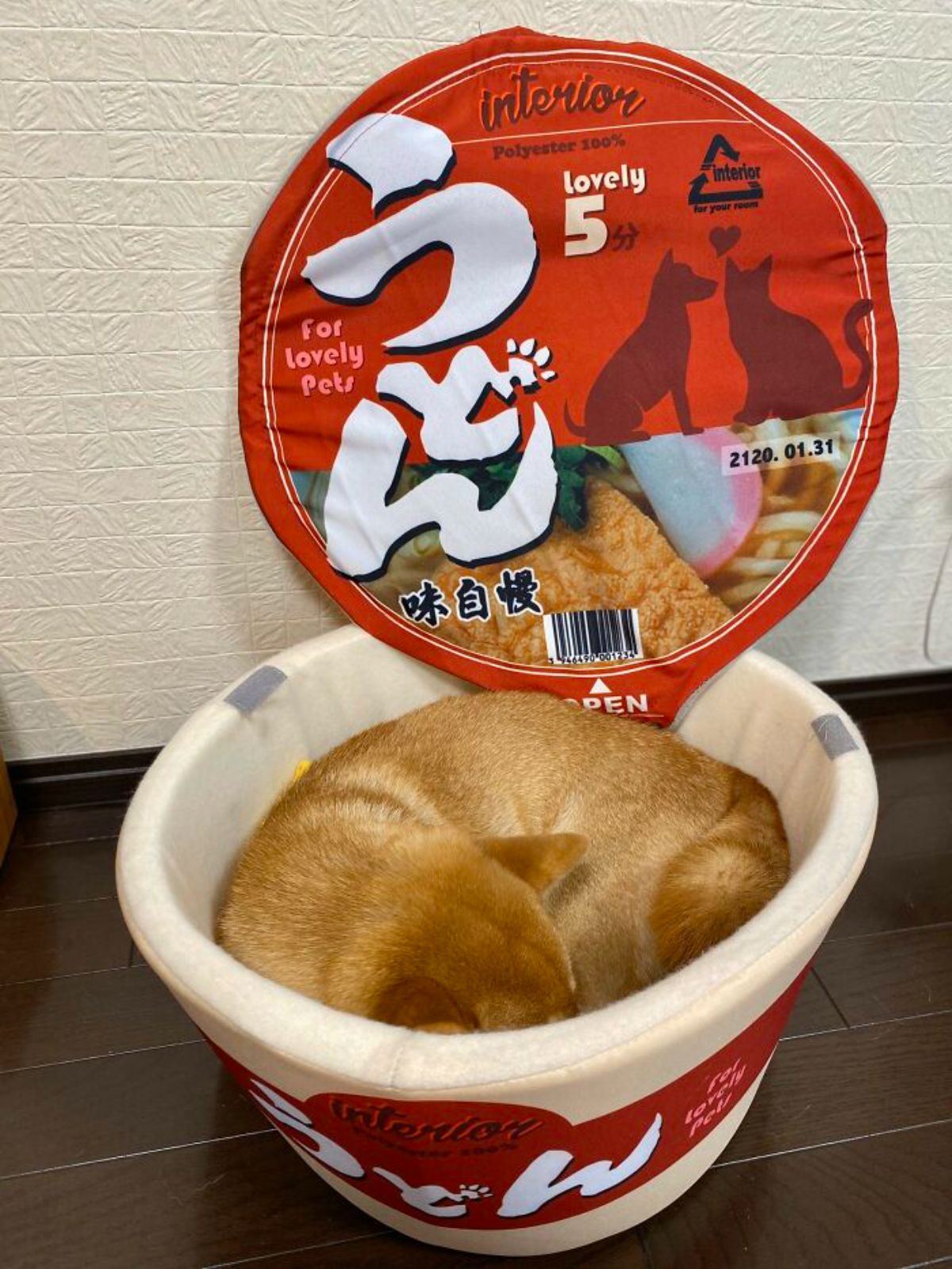 brown and white shiba in sleeping curled up inside a round red and white dog bed with a lid that has the print of a snack