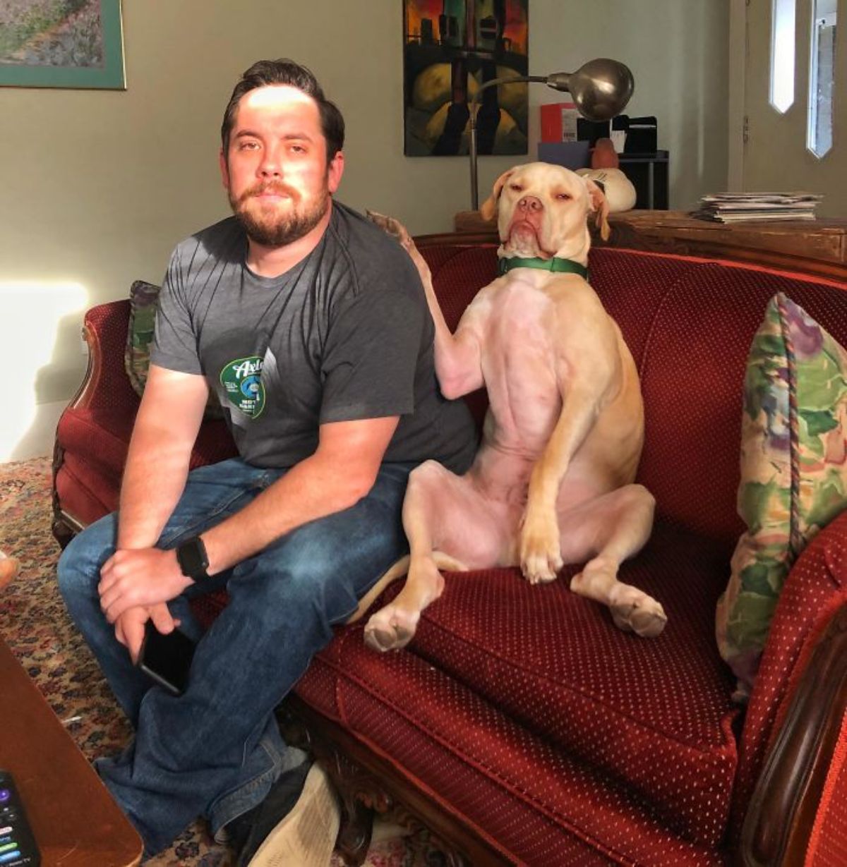 brown dog sitting upright on red sofa next to a man with one front paw on the man's shoulder