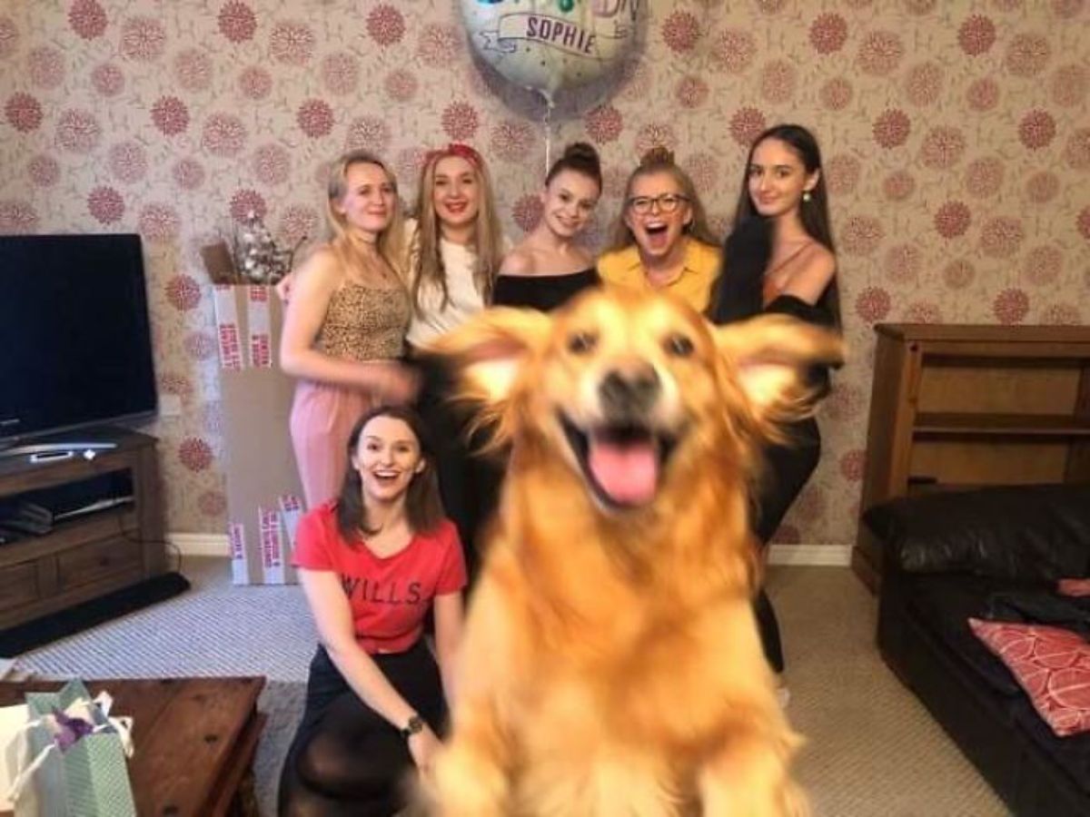 brown fluffy dog jumping in front of a group of 6 women taking a group photo