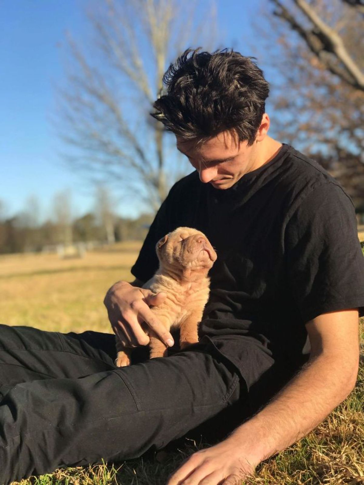 brown shar pei puppy standing on a man's lap and the man is sitting with legs outstretched on grass