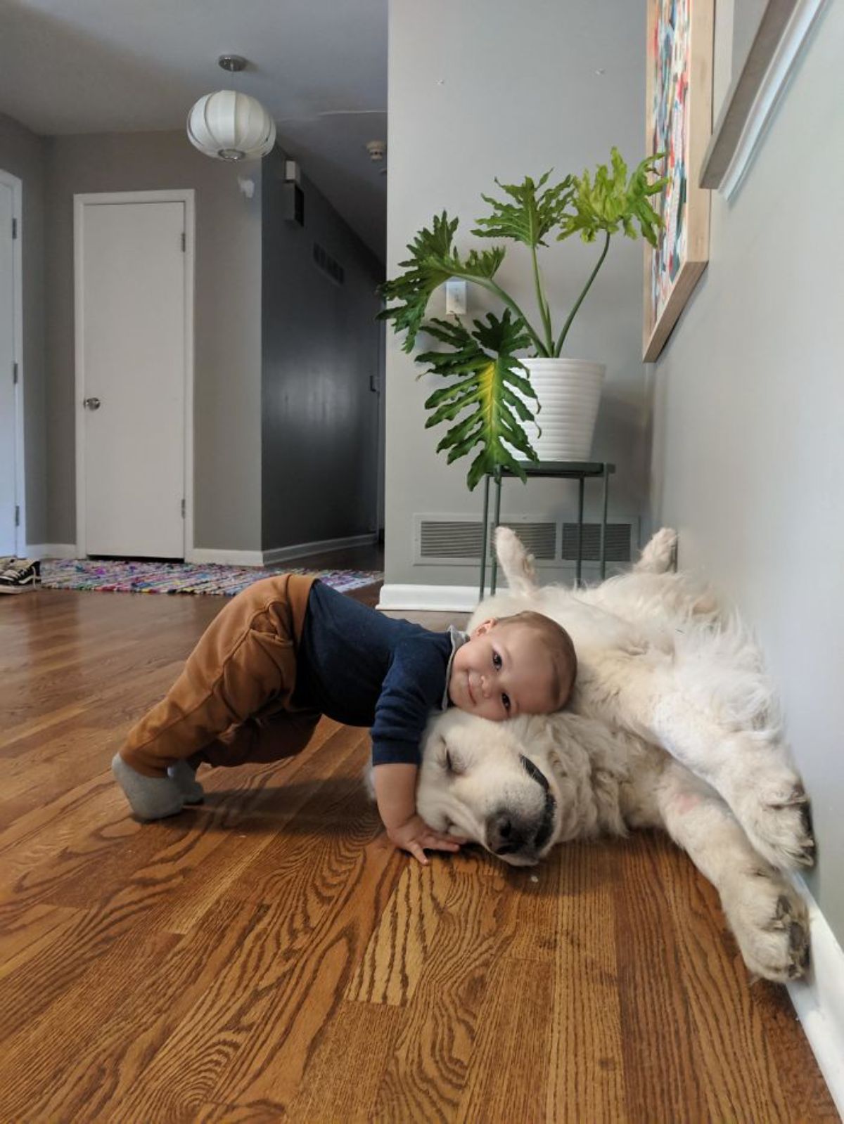 fluffy white dog laying sideways on floor with front paws on the wall with a tiny boy laying belly down on floor with head on the dog's head and the back raised