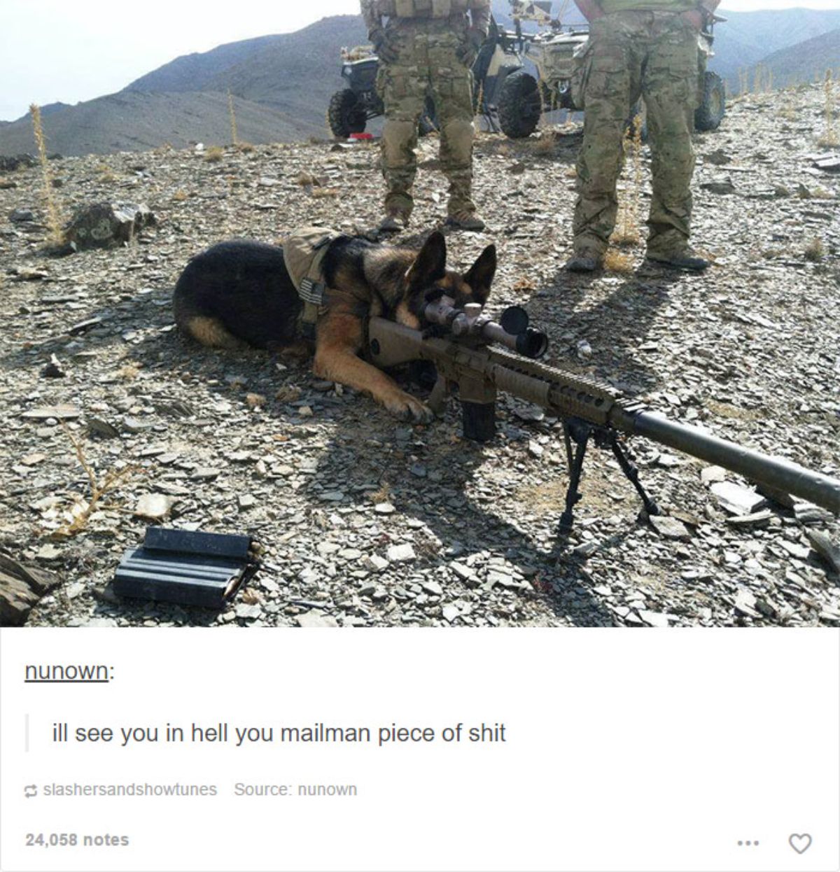 german shepherd with a brown harness on laying on the ground looking through a rifle with 2 soldiers standing nearby