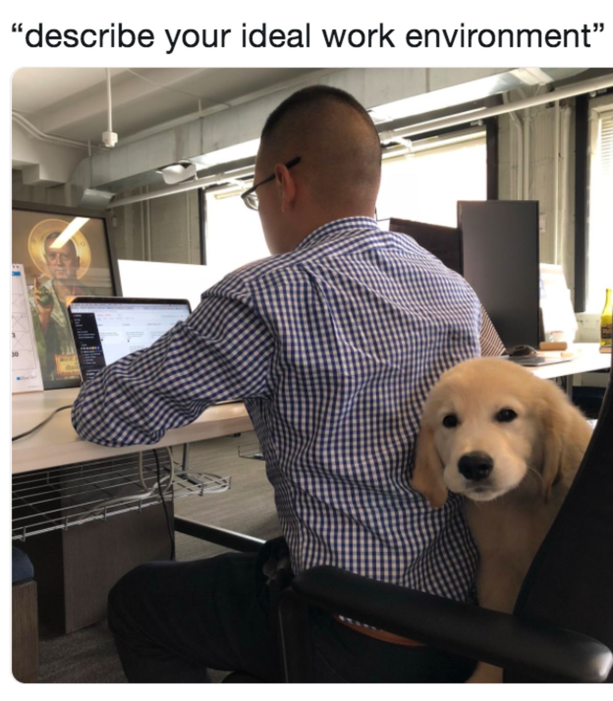 golden retriever puppy behind a man on a chair in an office with caption saying describe your ideal work environment