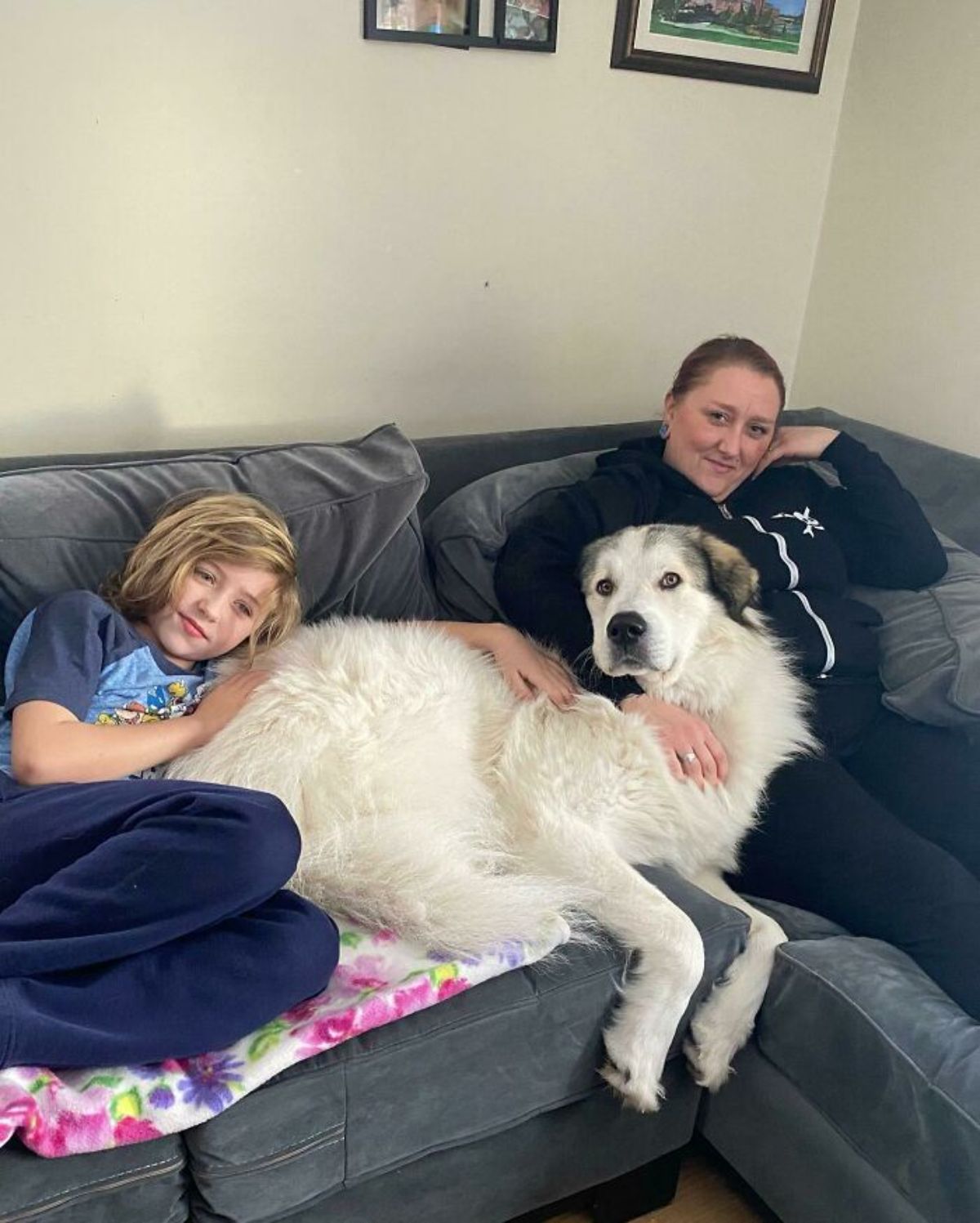 large fluffy white and black dog laying on a grey sofa with the ehad against a woman and a child at the other end