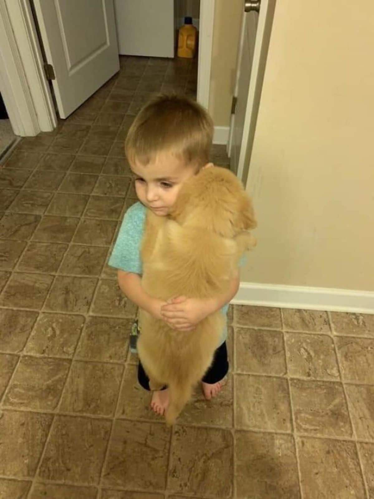 little boy standing and carrying a golden retriever puppy who is hugging the boy back