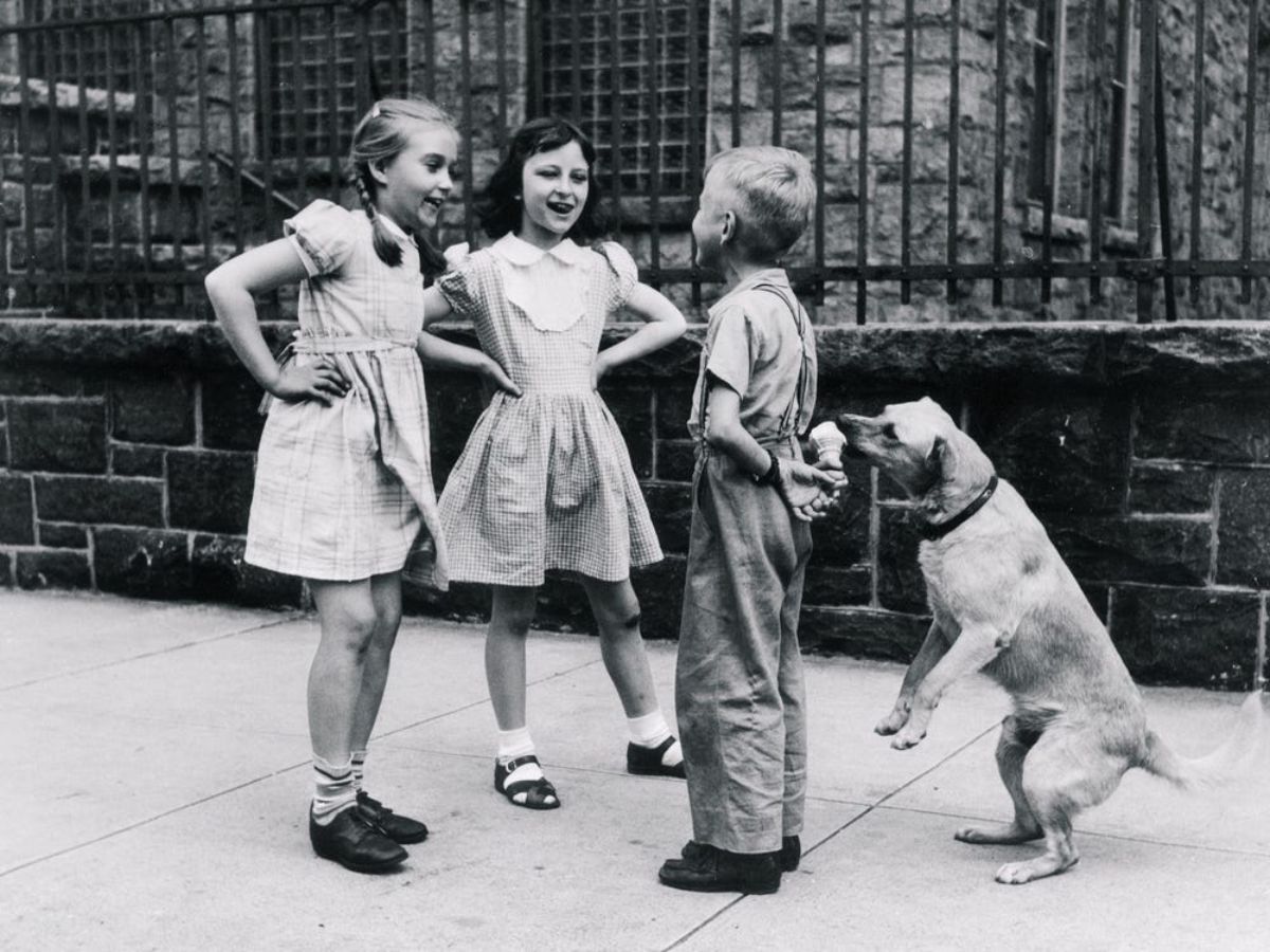 little dog sneaking ice cream held behind a boy who is looking at two girls in front of him