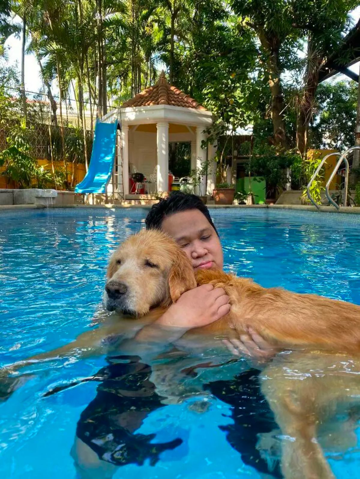 man holding a golden retriever in a swimming pool helping the dog swim