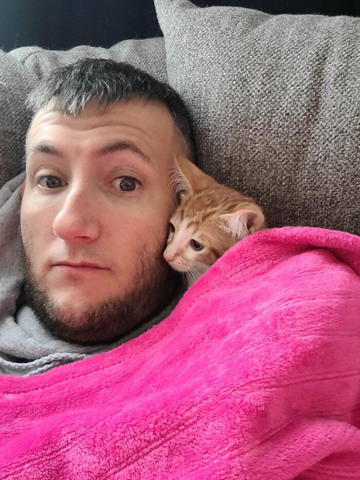 orange and white kitten laying under a pink blanket next to a man's face