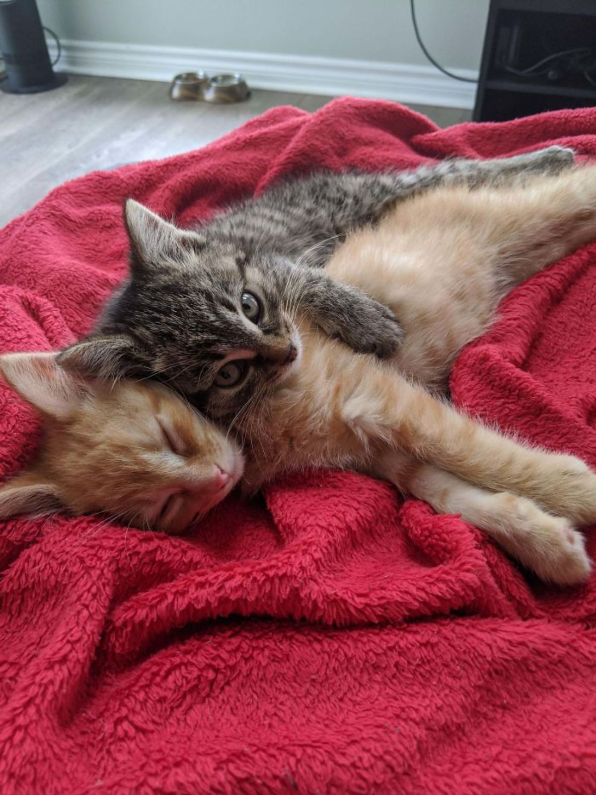 orange kitten laying sideways on red blanket with grey tabby kitten laying partly on the orange kitten