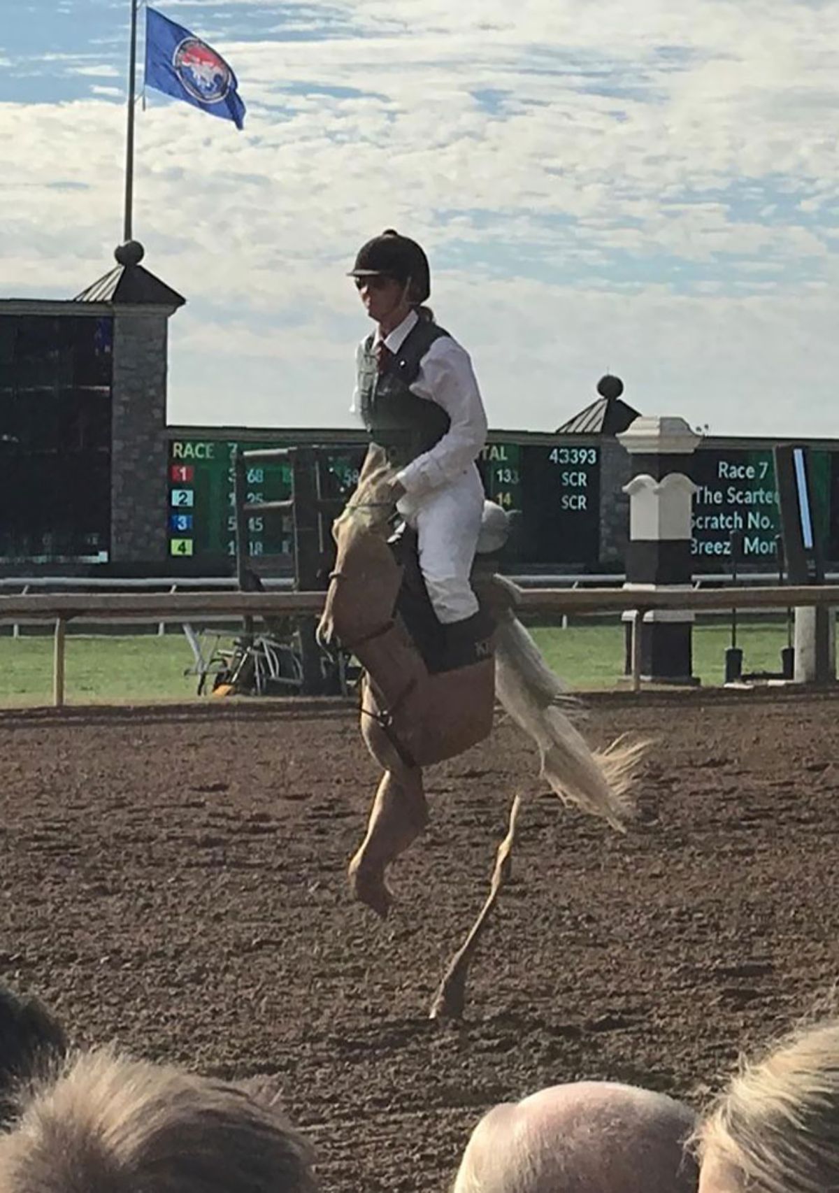 panoramic fail of brown horse with a jockey on top and the horse has 1 leg attached to the body, and a free-floating tail and leg