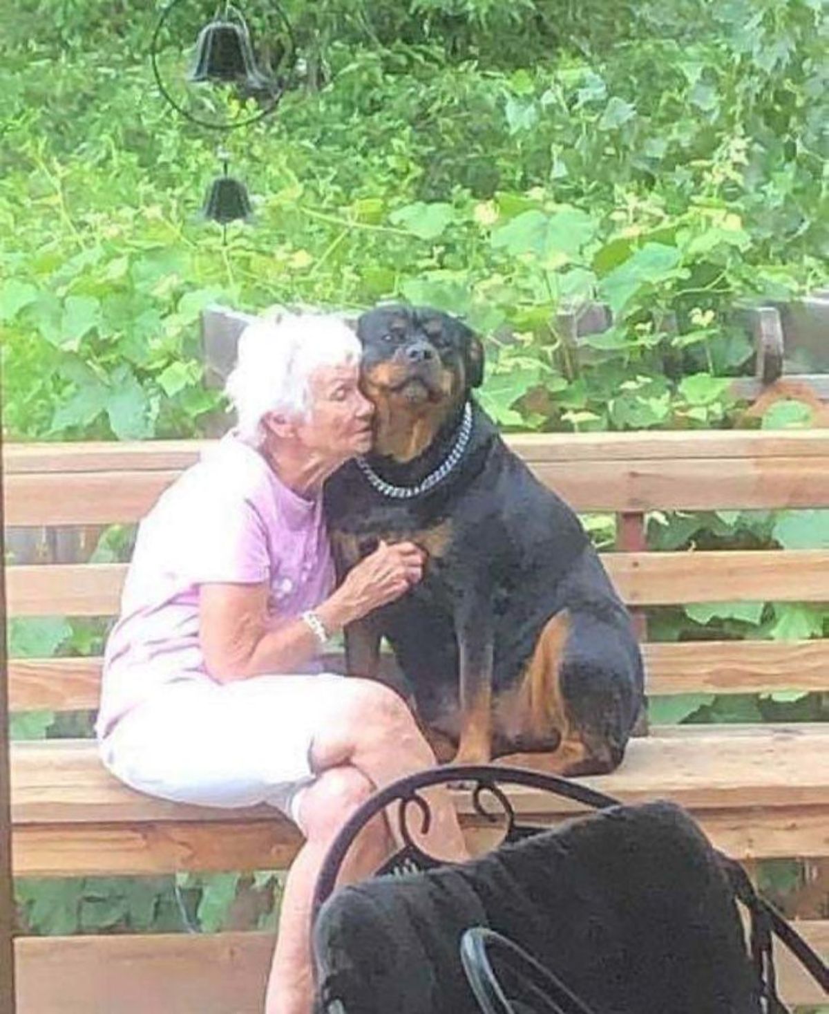 rottweiler sitting on a brown bench next to an old woman and the woman is hugging the dog