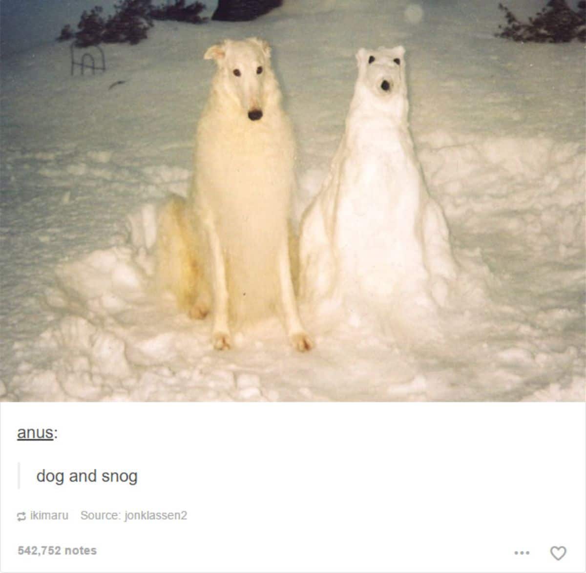 tumblr post of a tall white dog sitting in snow next to a snowdog and caption saying dog and snog