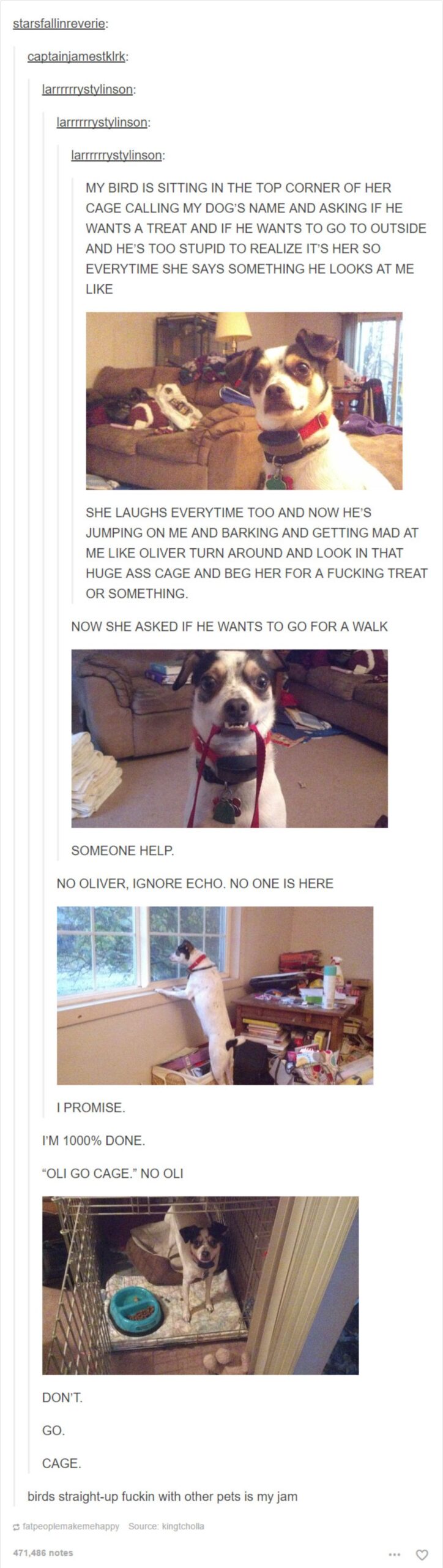 tumblr post of black and white dog getting tricked by the bird into expecting treats, going for a walk and going into the cage