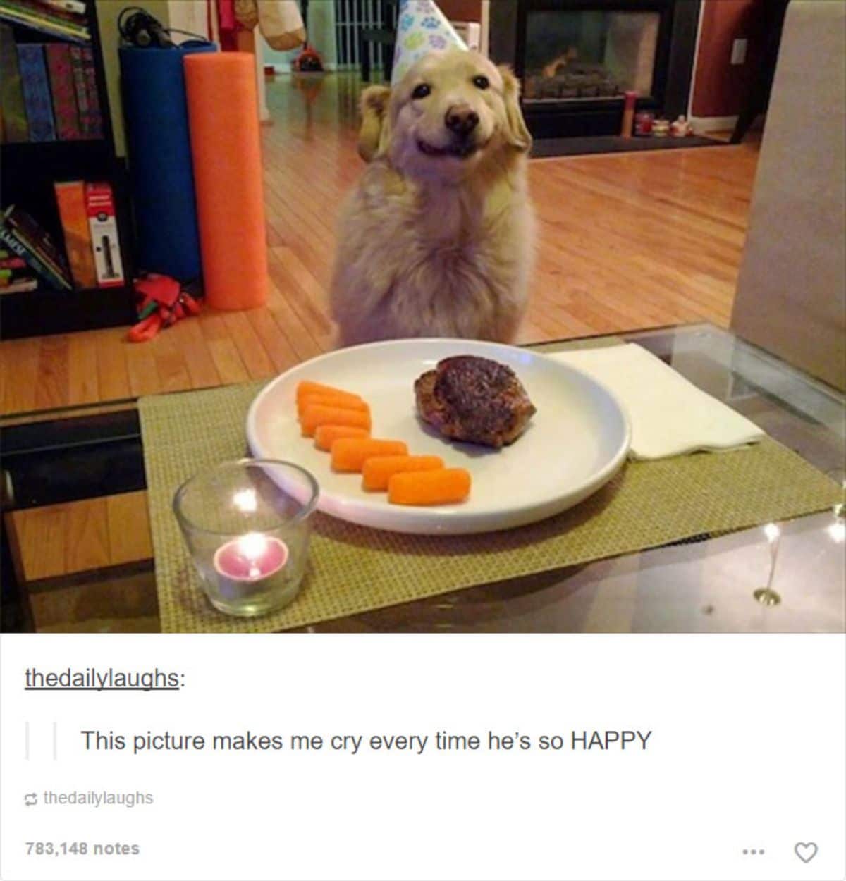 tumblr post of smiling golden retriever in a party hat sitting in front of a lit candle and a plate of carrort and meat with a caption saying the dog looks so happy