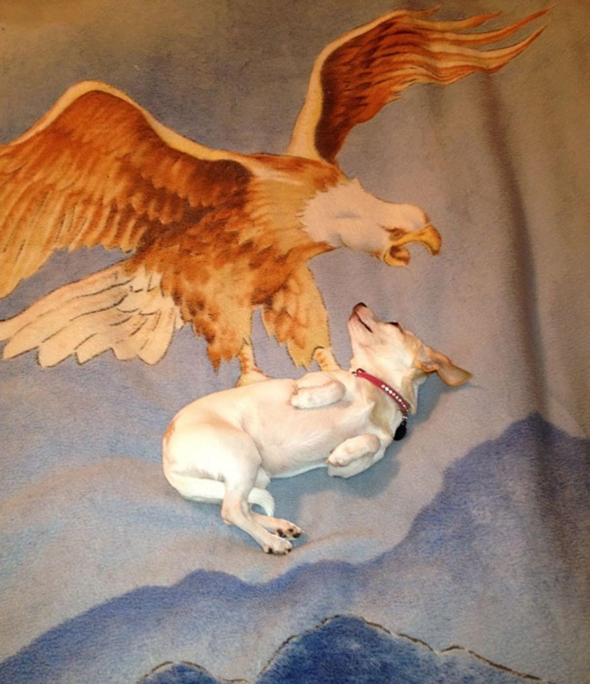 white and brown dog laying down on a painting right under a brown and white eagle looking like it has grabbed the dog