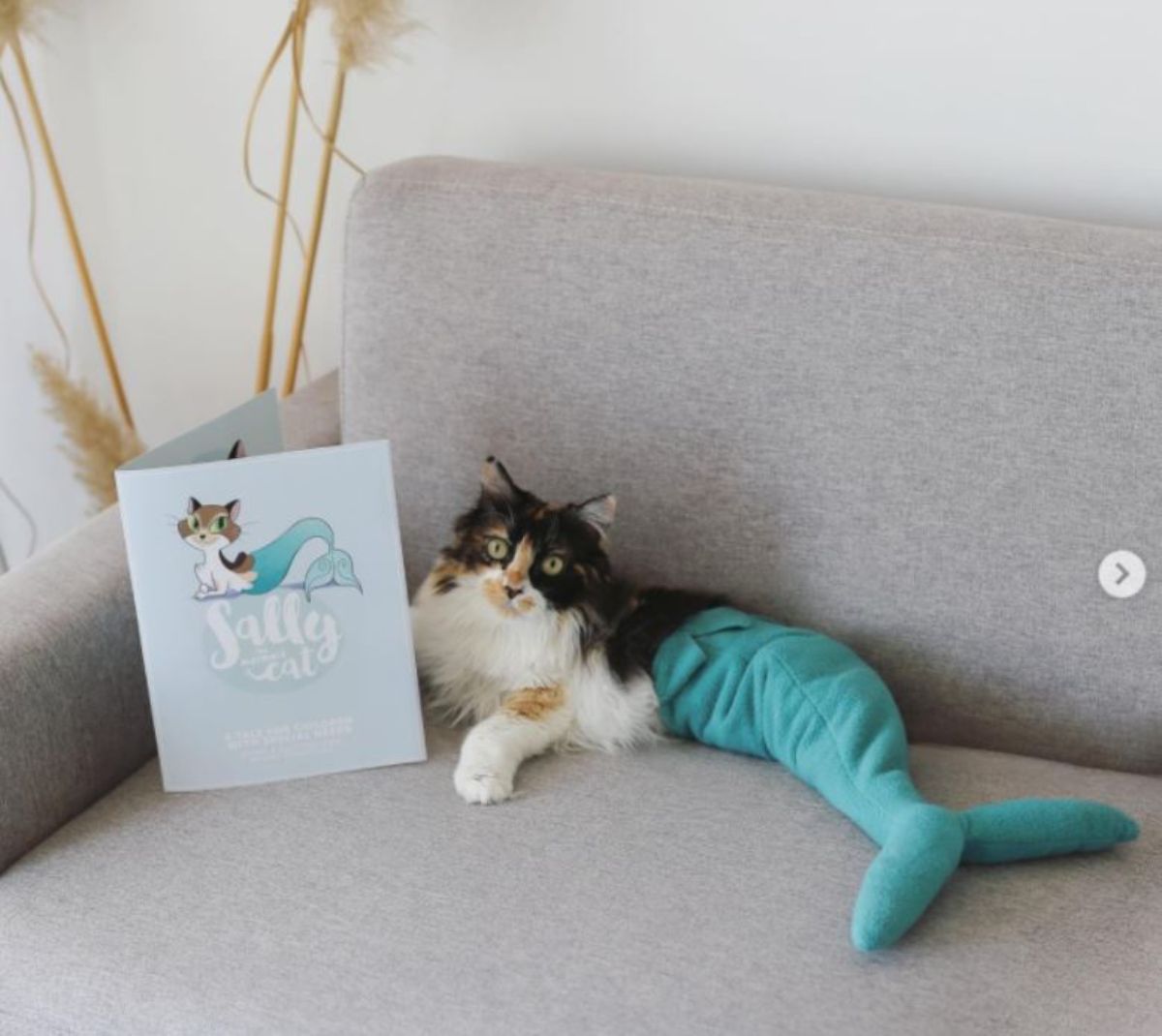 white black and orange cat wearing a blue-green mermaid tail laying on a grey sofa next to a sally the cat book