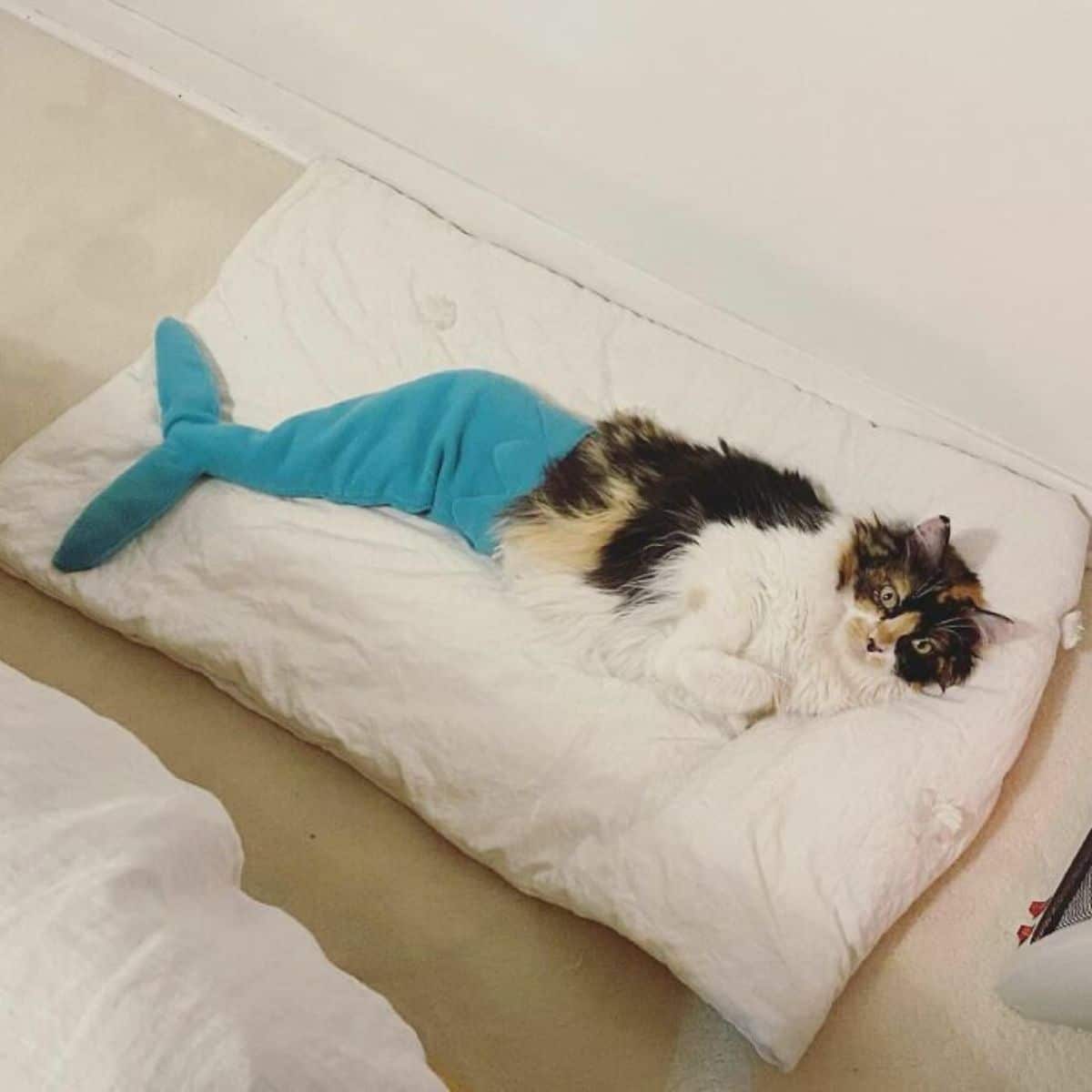 white black and orange cat wearing a blue mermaid tail laying on a white mattress on the floor