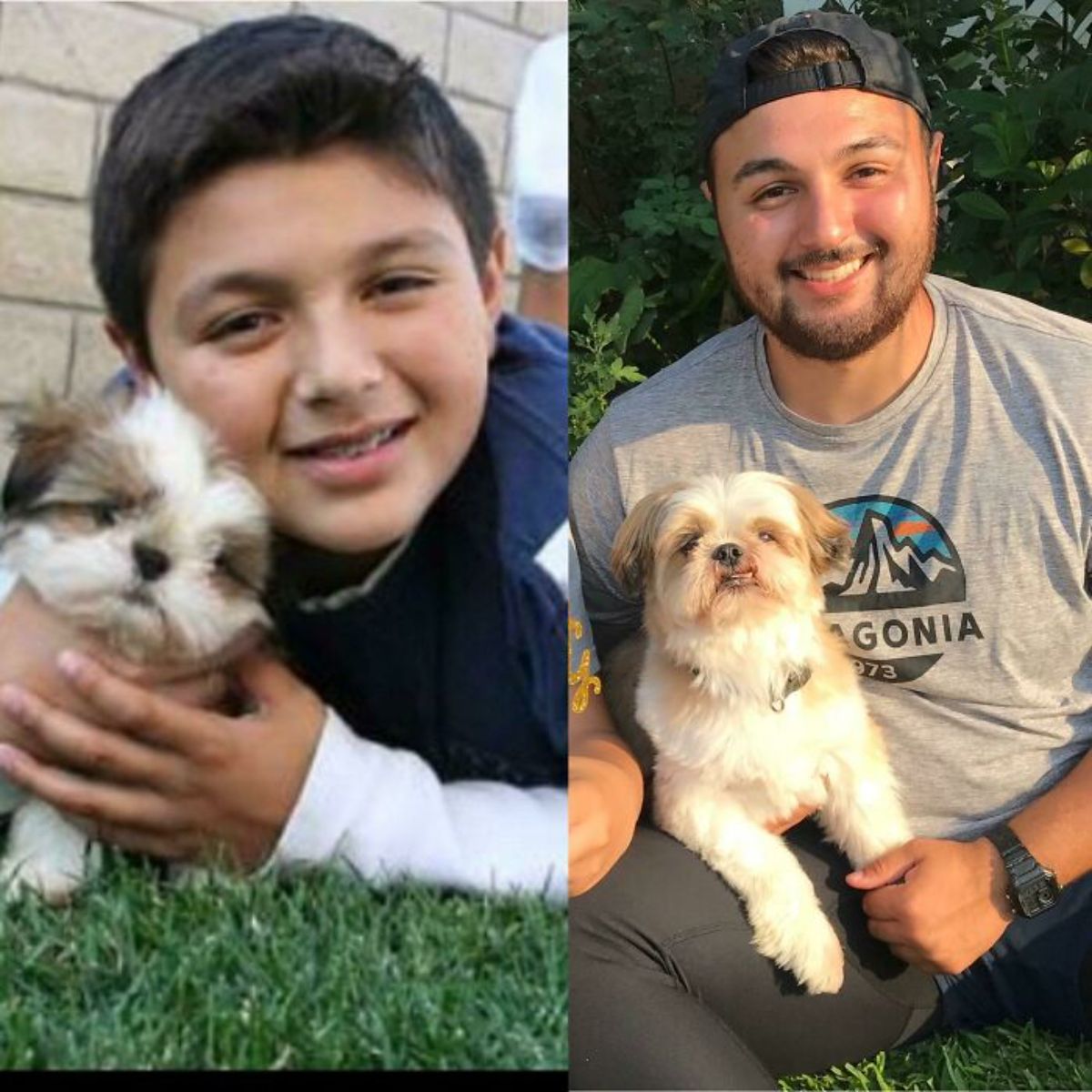 1 photo of a brown and white puppy with a little boy and 1 photo of both of them grown up