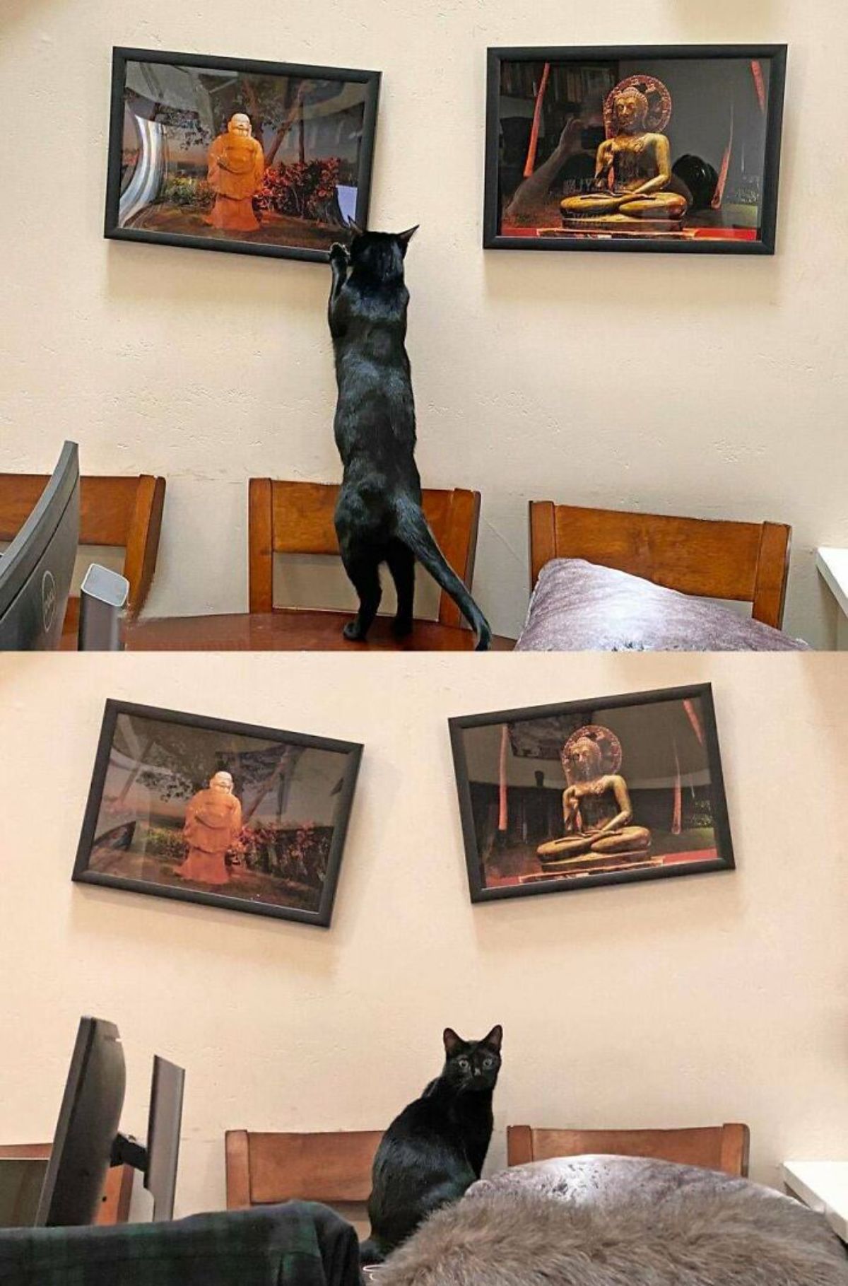 2 photos of a black cat standing on a table and pulling down 2 framed photos on a wall