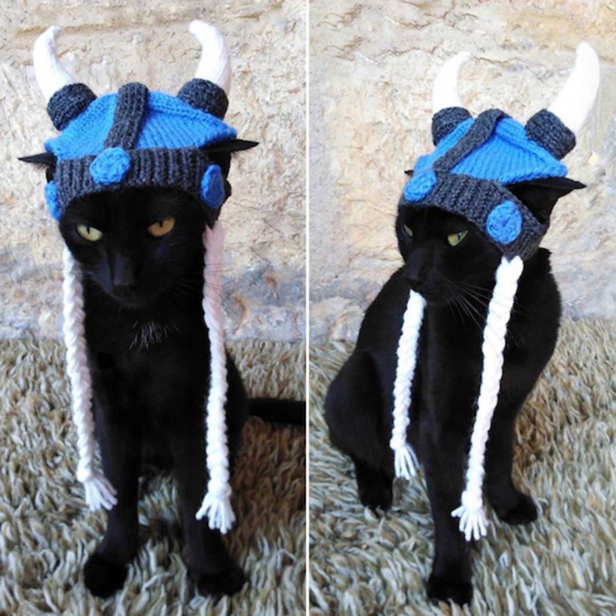 2 photos of a black cat wearing blue and black hat with 2 white horns