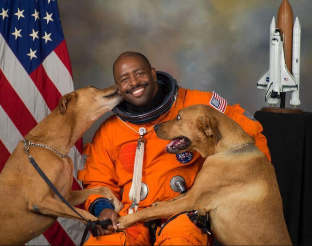 astronaut in orange space suit posing with 2 brown dogs