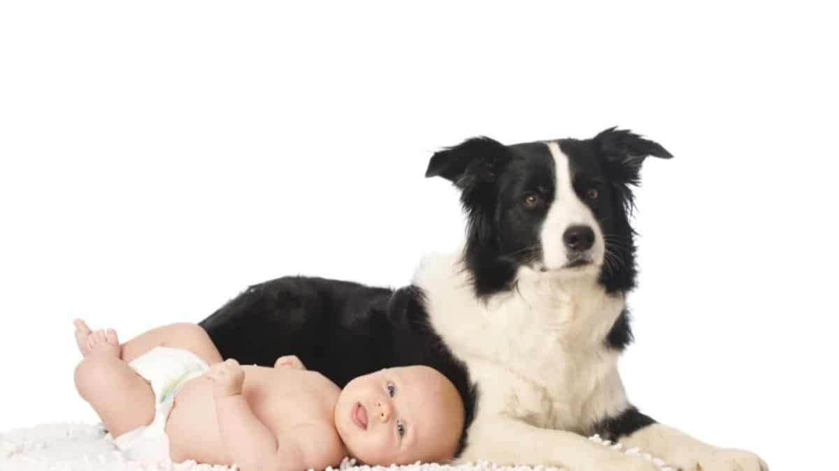 baby laying next to black and white dog