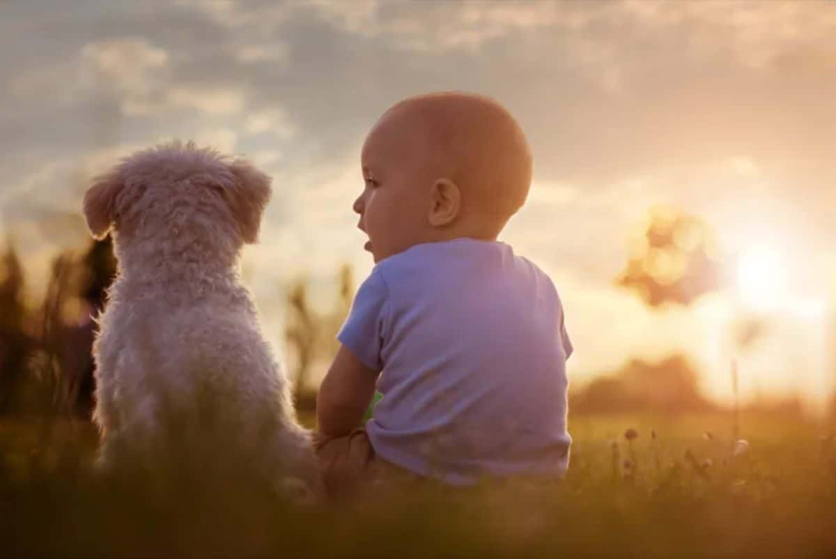 baby sitting on grass next to a fluffy white puppy