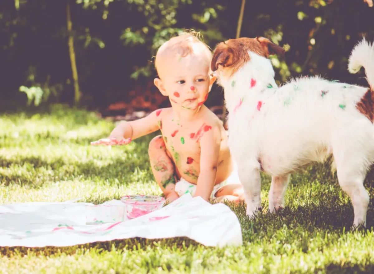 baby smeared in paint in a garden with a brown and white dog with paint on the body licking the baby's head