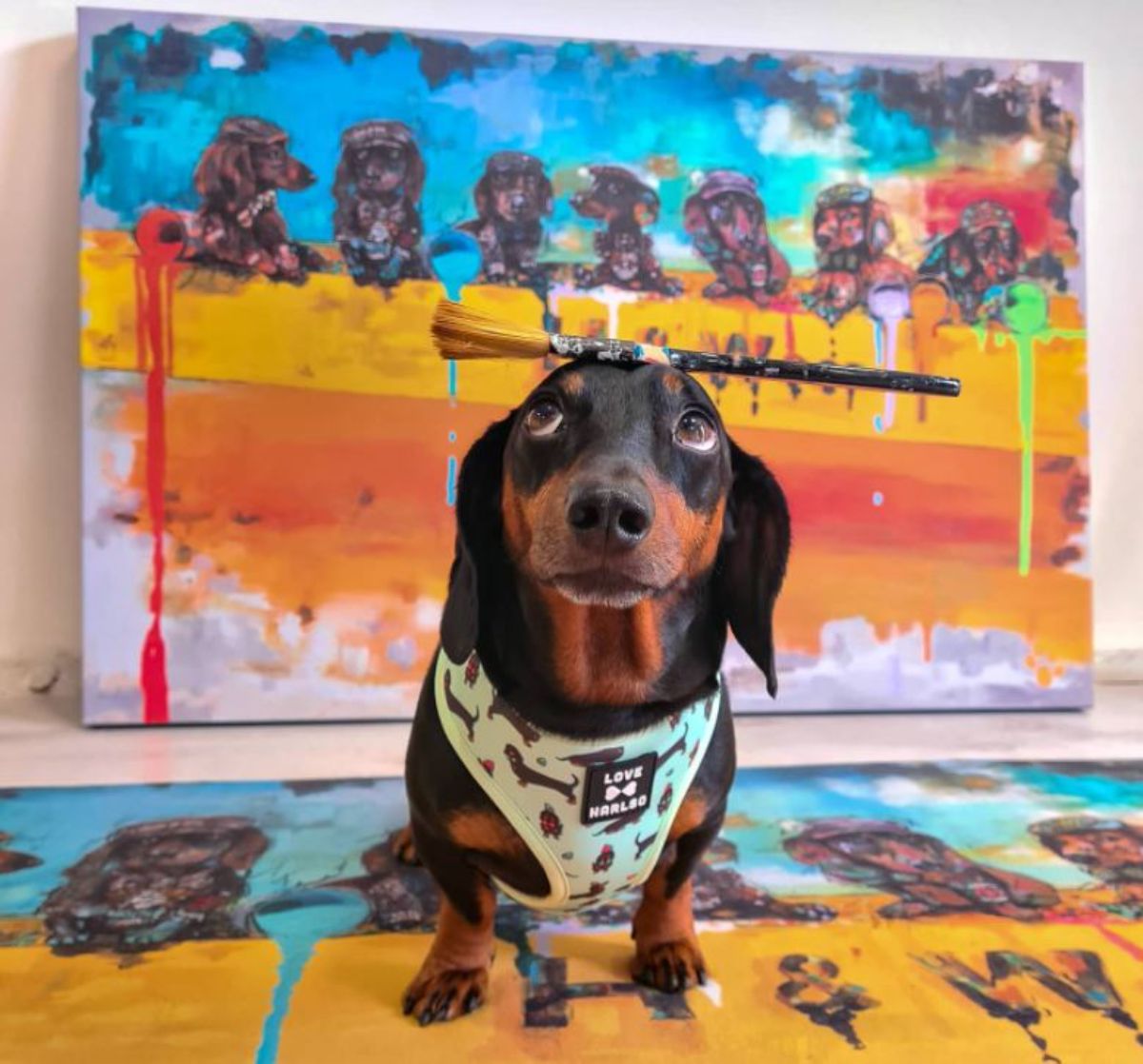 black and brown dachshund with a paintbrush on the head and standing on a painting of dogs with another painting of dogs behind the dog