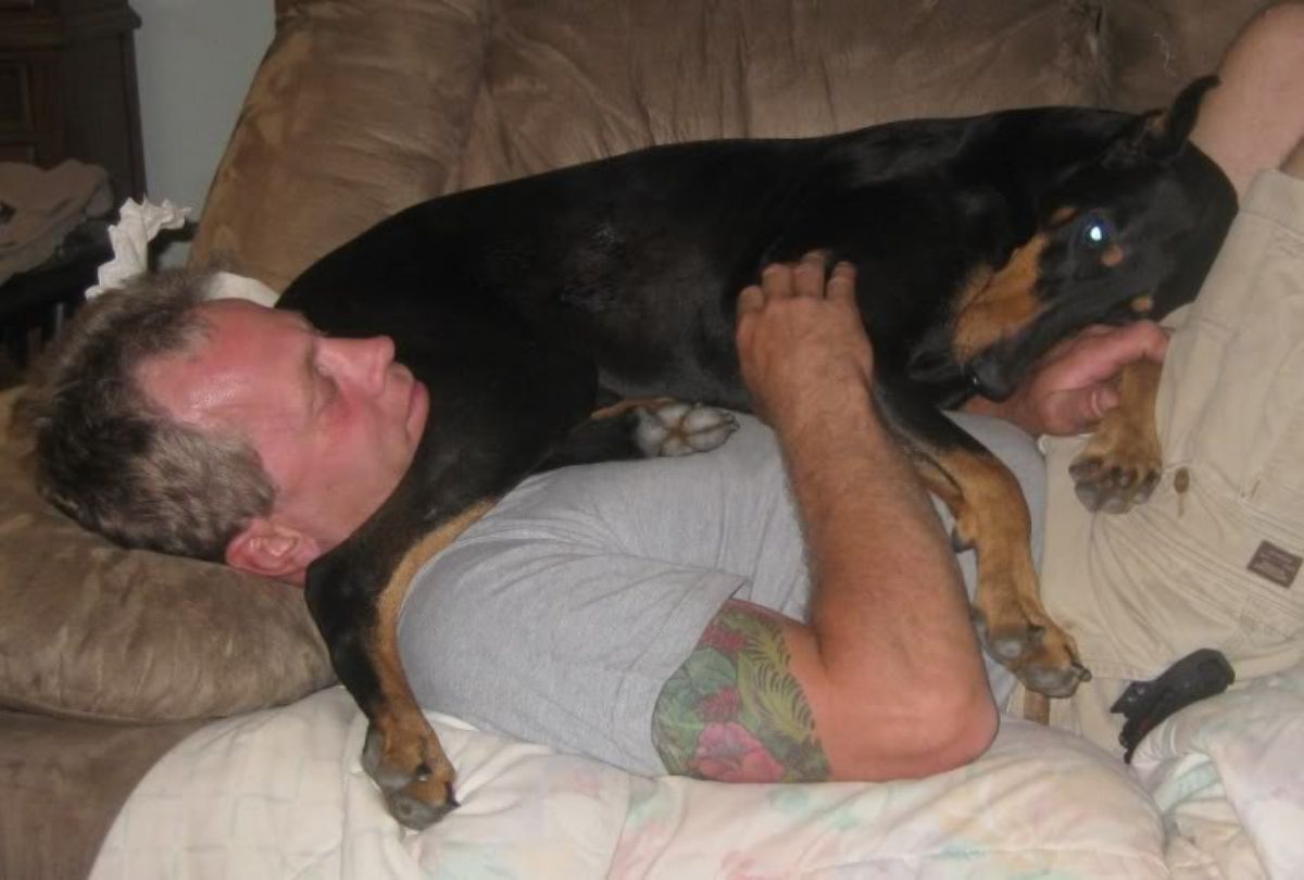 black and brown dog laying on a man laying on a brown sofa with the butt near the man's face
