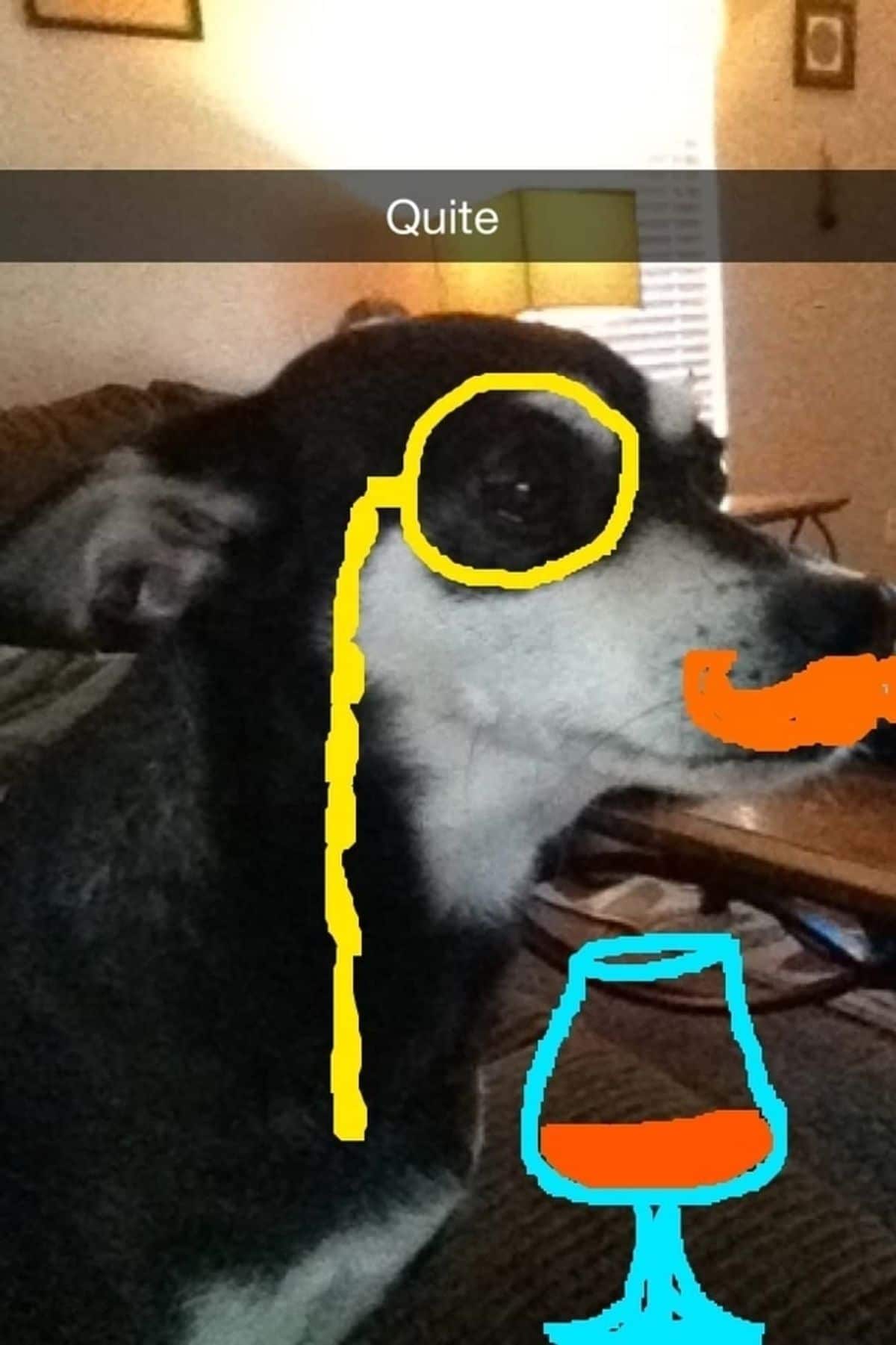 black and white dog with yellow monocle, orange mustache and blue wine glass drawn on with the caption Quite