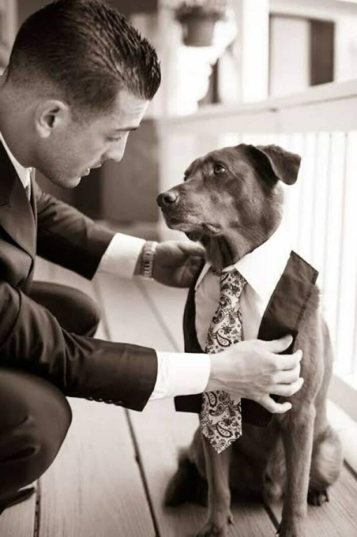 black and white photo of a black dog in a suit and tie looking at a man in a suit and tie