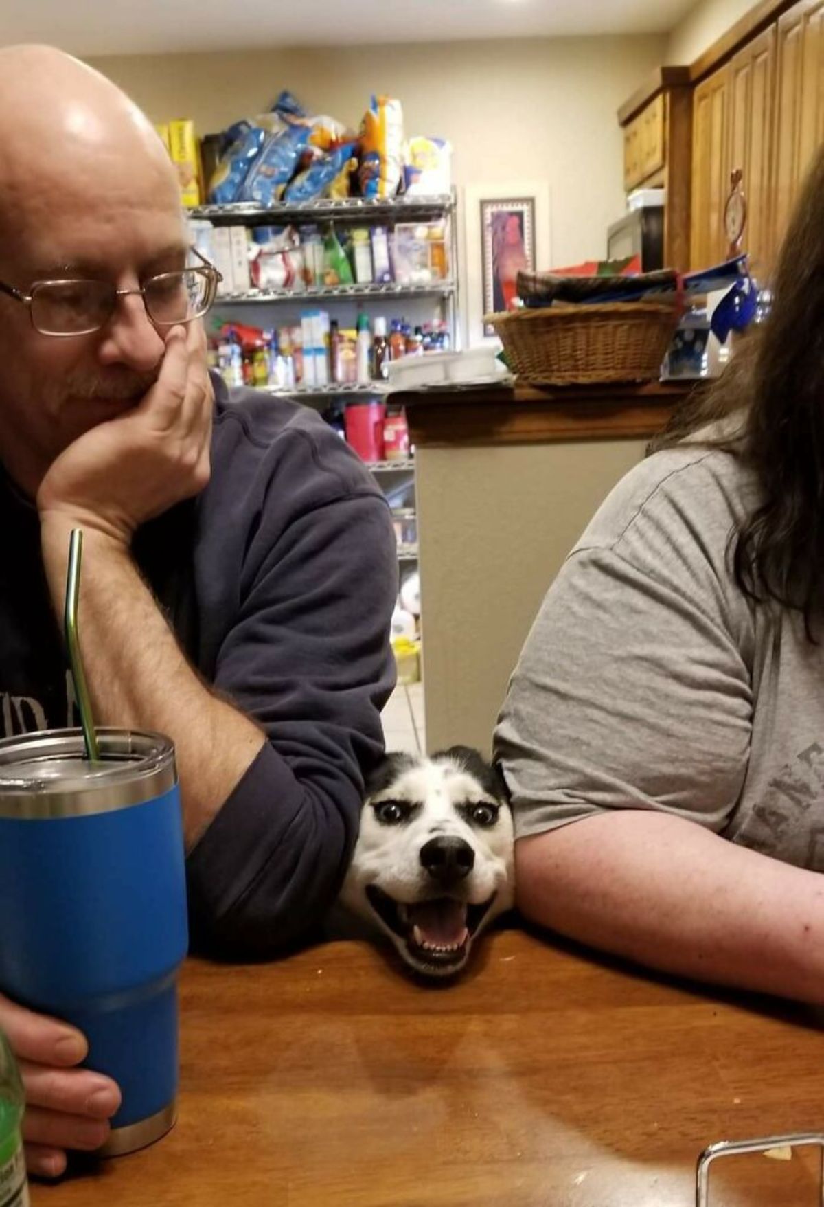 black and white smiling dog with the chin on a brown table between a man and a woman