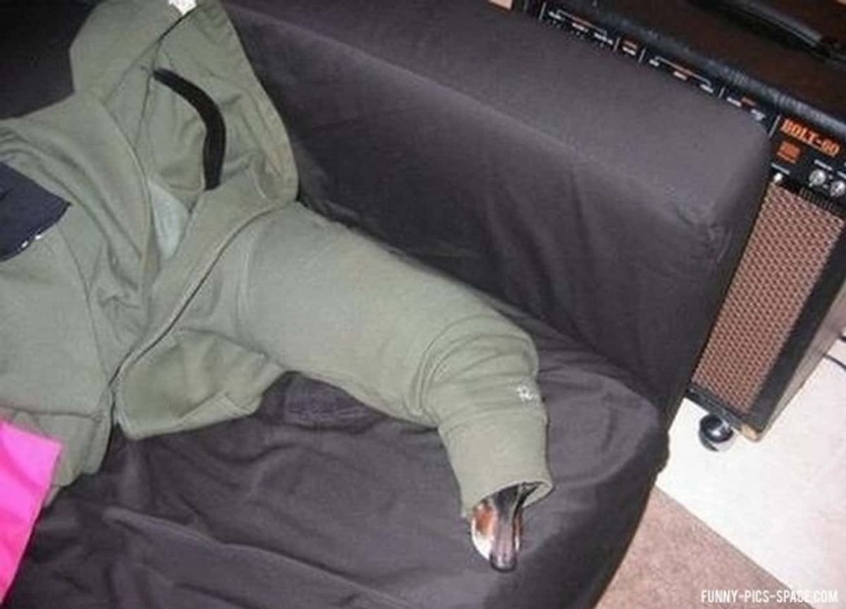 black brown and white dog face sticking out of the arm of a green hoodie on a black sofa