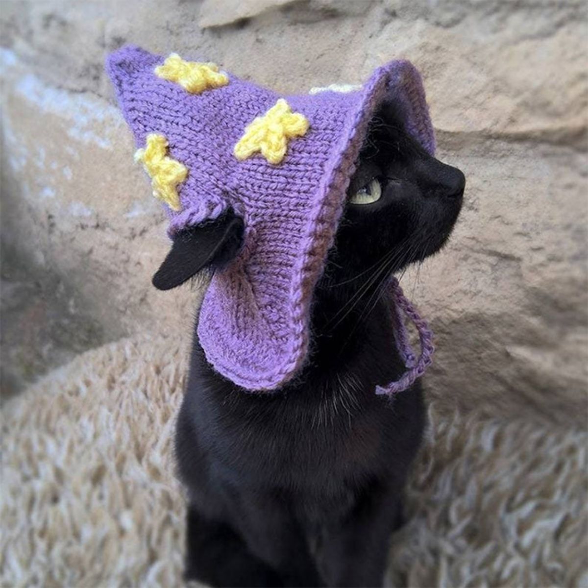 black cat wearing purple pointy witchy crocheted hat with yellow stars on it