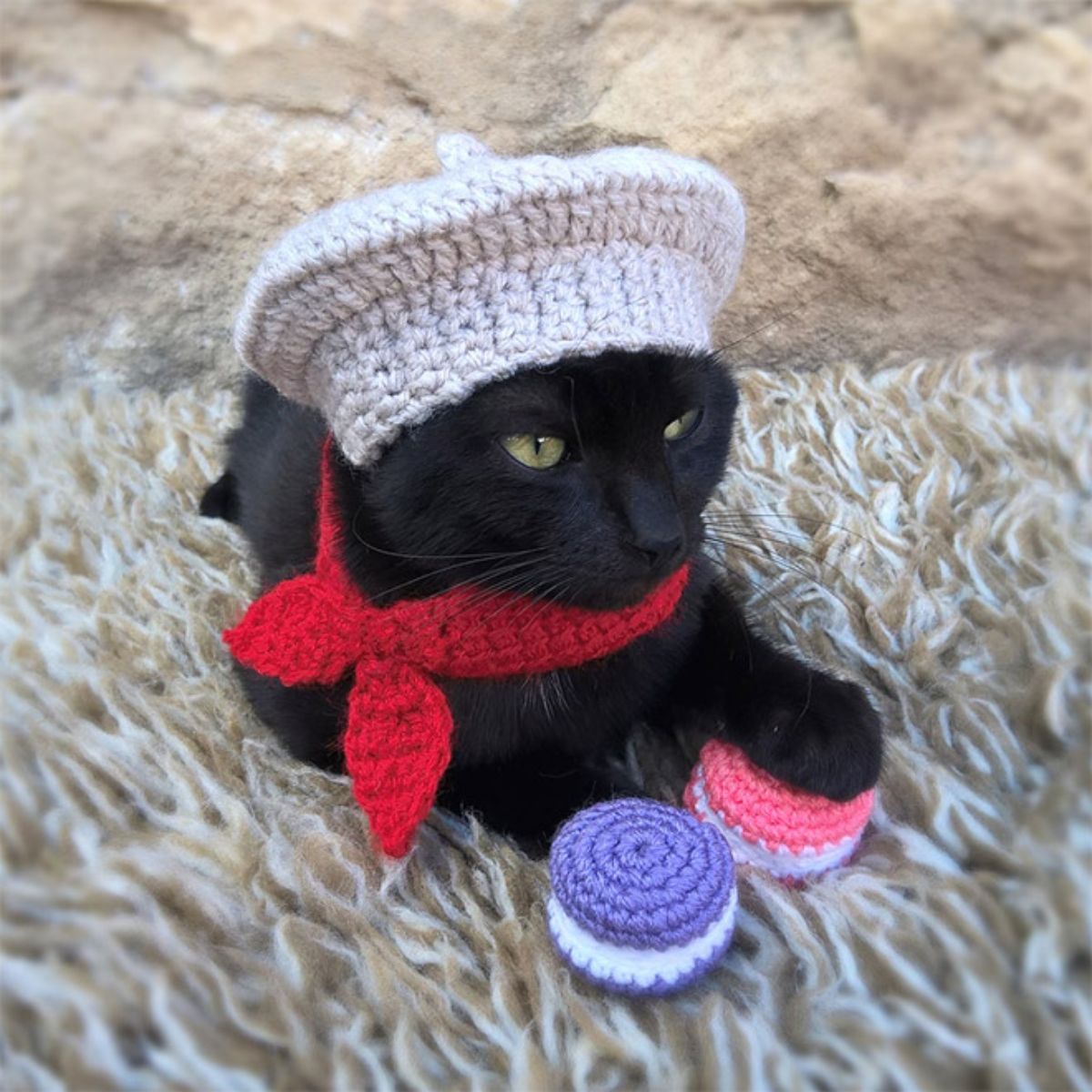 black cat wearing white crocheted beret and a red crocheted ribbon tied around the neck with 2 purple and white and pink and white crocheted macarons