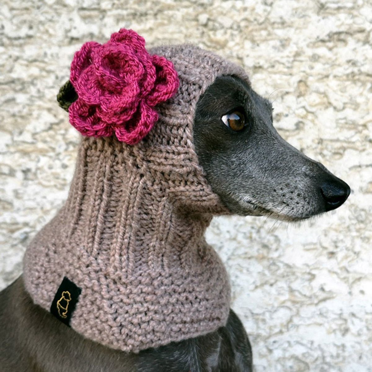 black greyhound wearing a brown crocheted hat down to the neck with a red crochet rose on the side