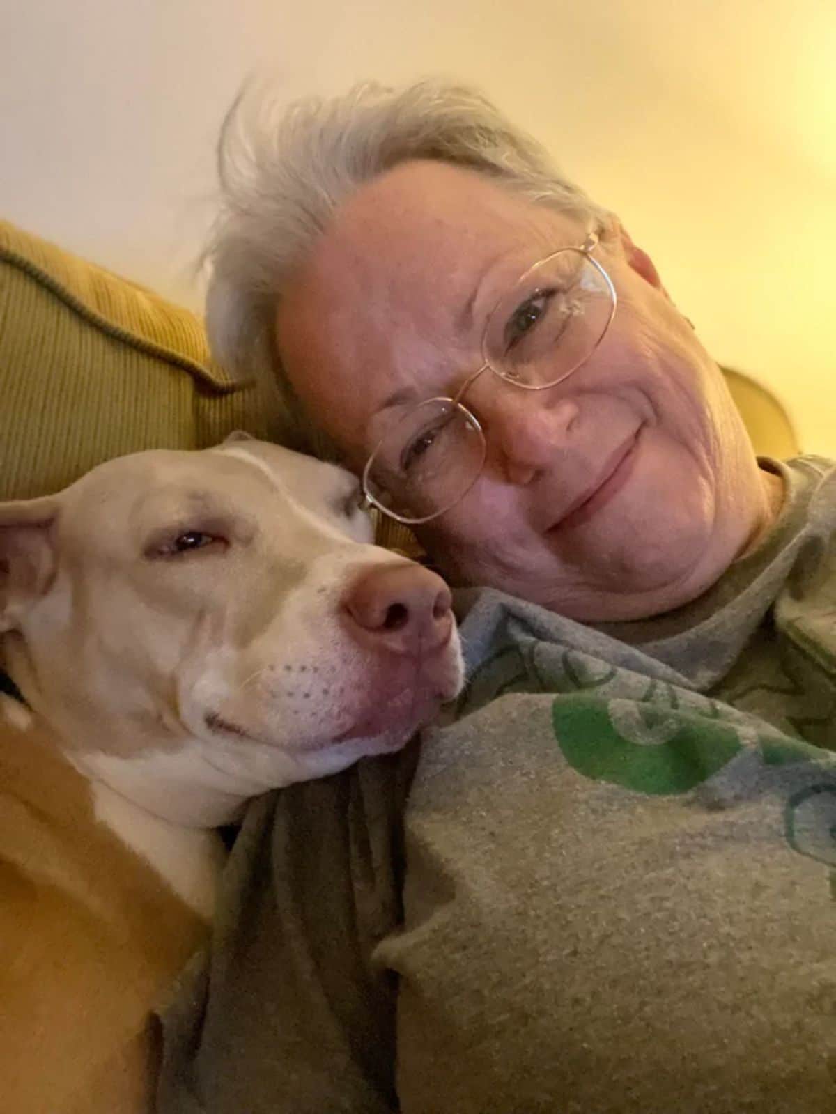brown and white pitbull cuddling with an old woman