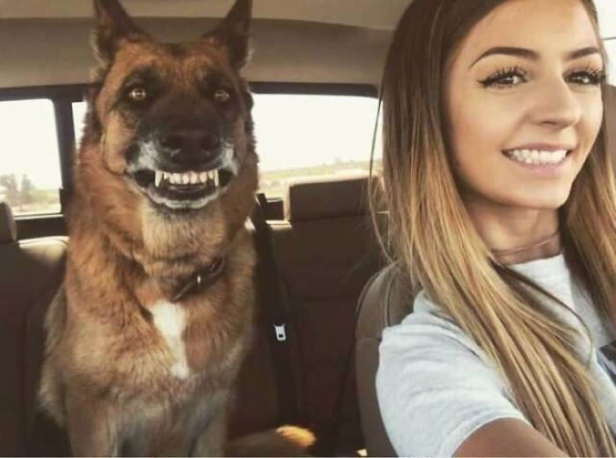 brown black and white dog smiling inside a car next to a woman smiling with the dog's teeth showing