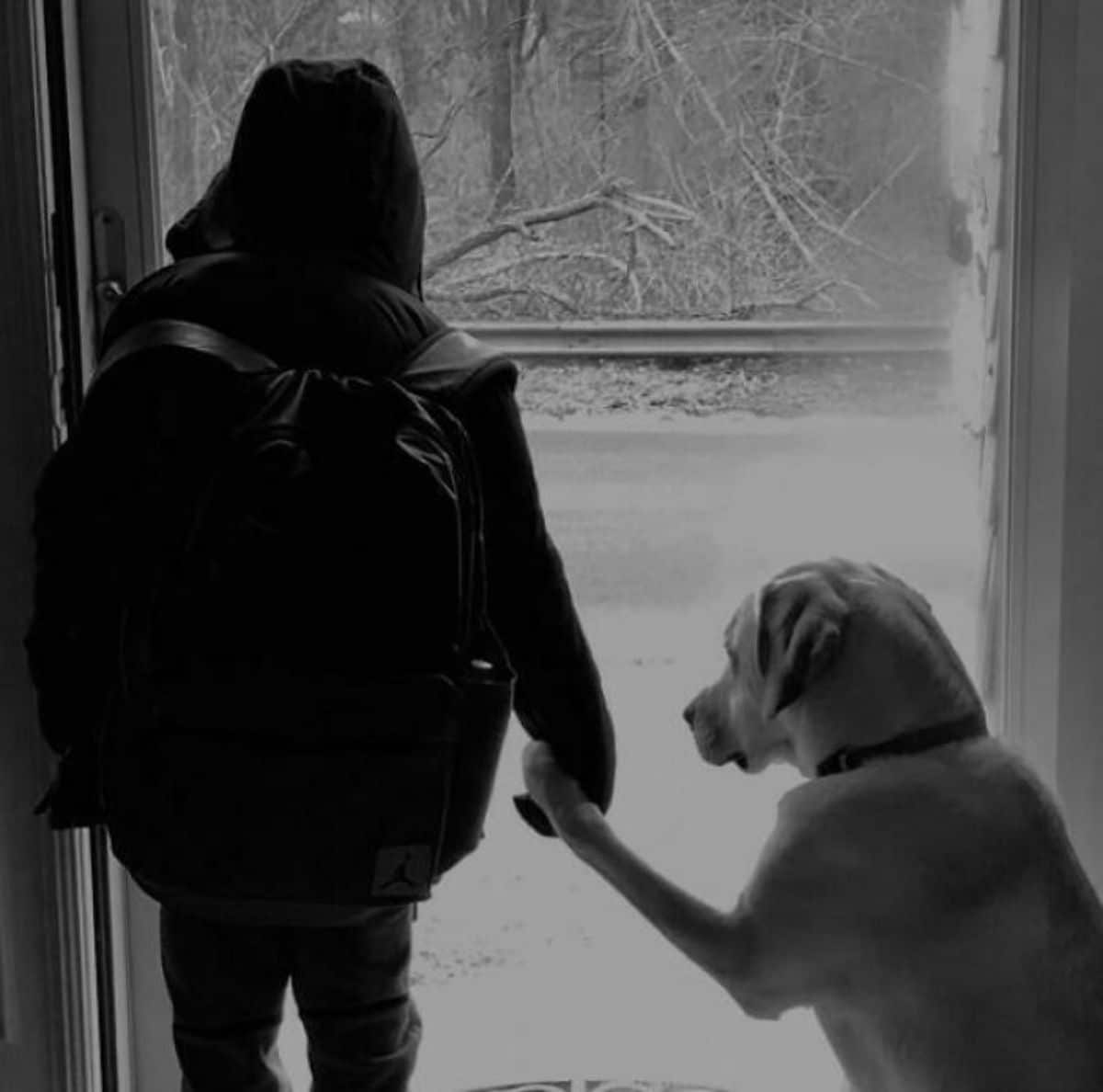 dog and boy wearing backpack holding hand and paw at a glass door
