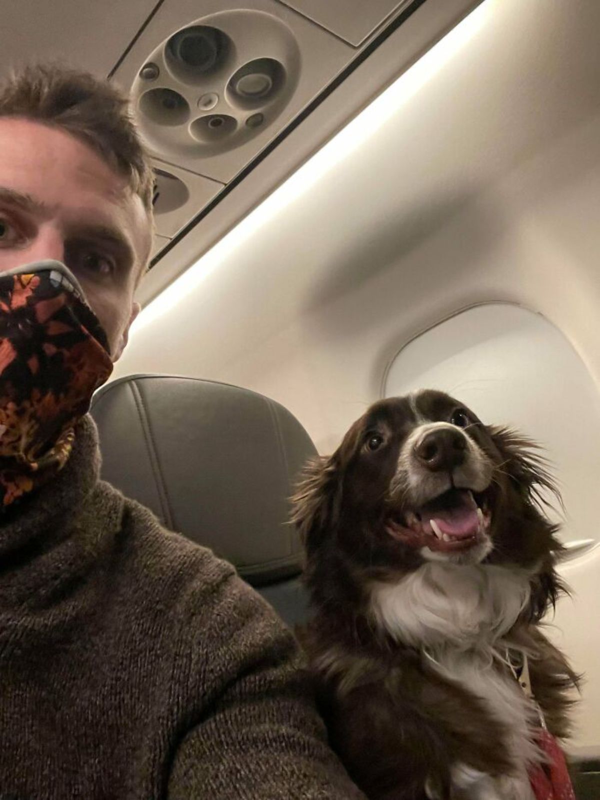 fluffy black and white dog sitting on airplane seat with a man wearing a face mask