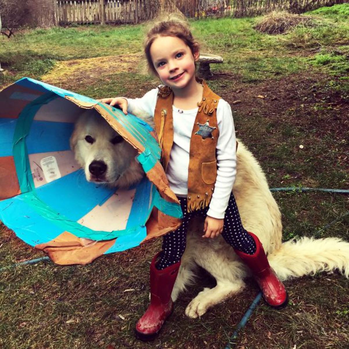 fluffy white dog wearing a large diy blue and brown cardboard cone of shame with a little girl posing next to the dog